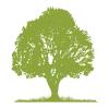 Town Common logo (tree)